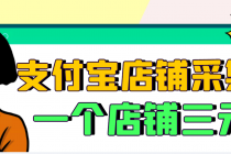 【信息差项目】支付宝店铺采集项目，只需拍三张照片，轻松日赚300-500 - 冒泡网-冒泡网