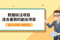 数据标注项目：适合暑假的副业兼职项目，日入200~600元 - 冒泡网-冒泡网