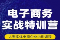 电子商务实战特训营，全方位带你入门电商，308种方式玩转电商 - 冒泡网-冒泡网