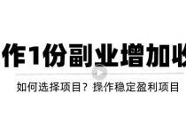 新手如何通过操作副业增加收入，从项目选择到玩法分享！【视频教程】 - 冒泡网-冒泡网