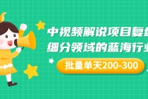 某付费文章：中视频解说项目复盘：细分领域的蓝海行业 批量单天200-300收益 - 冒泡网-冒泡网