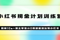 《小红书捞金计划训练营》粉丝10w+博主带你从0粉到变现玩转小红书（72节课) - 冒泡网-冒泡网