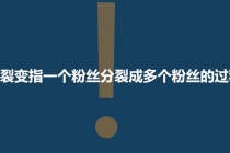 「粉丝裂变训练营」0-1-1w爆发式增长，24小时不断的涨粉-睡觉也在涨-16节课 - 冒泡网-冒泡网