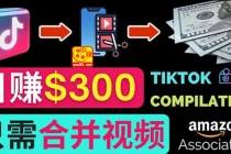 搬运Tiktok短视频到Youtube赚钱，只需下载，合并视频，日赚300美元 - 冒泡网-冒泡网