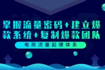 电商流量起爆体系：掌握流量密码+建立爆款系统+复制爆款团队 - 冒泡网-冒泡网