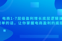 电商1-7层级盈利增长底层逻辑课：用简单的话，让你掌握电商盈利的底层逻辑 - 冒泡网-冒泡网