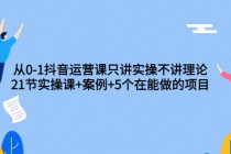 从0-1抖音运营课只讲实操不讲理论：21节实操课+案例+5个在能做的项目 - 冒泡网-冒泡网