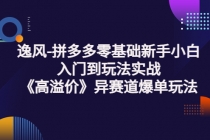 逸风-拼多多零基础新手小白入门到玩法实战《高溢价》异赛道爆单玩法实操课 - 冒泡网-冒泡网