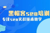 某收费培训课：黑帽客seo培训，专注seo实战技术教学！ - 冒泡网-冒泡网