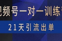 视频号训练营：带货，涨粉，直播，游戏，四大变现新方向，21天引流出单 - 冒泡网-冒泡网