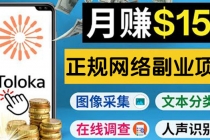 正规网络副业赚钱平台Toloka，利用业余时间月赚150美元 - 冒泡网-冒泡网