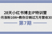 28天小红书博主IP特训营《第6+7期》4个月涨粉16W+教你日销过万月营收30万 - 冒泡网-冒泡网