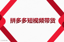 2022风口红利期-拼多多短视频带货，适合新手小白的入门短视频教程 - 冒泡网-冒泡网