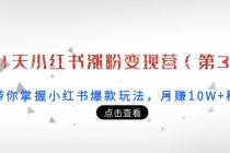 21天小红书涨粉变现营：带你掌握小红书爆款玩法，月赚10W+秘密 - 冒泡网-冒泡网