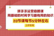 拼多多运营必修课：20节课每节5分钟左右，用最短的时间学习最有用的知识 - 冒泡网-冒泡网