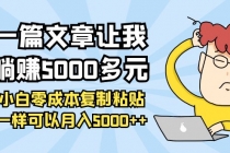 一篇文章让我躺赚5000多元，小白零成本复制粘贴一样可以月入5000++ - 冒泡网-冒泡网