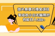 人人都能操作的微头条最新暴力撸金项目，零成本小白无脑搬运也能日入500+ - 冒泡网-冒泡网