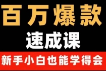 百万爆款速成课：用数据思维做爆款，小白也能从0-1打造百万播放视频 - 冒泡网-冒泡网