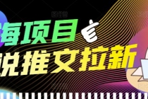 外面收费6880的小说推文拉新项目，个人工作室可批量做【详细教程】 - 冒泡网-冒泡网