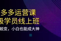 拼多多运营课：超级学员线上班，21天蜕变，小白也能成大神 - 冒泡网-冒泡网