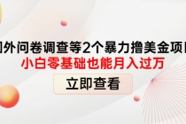 国外问卷调查等2个暴力撸美金项目，小白零基础也能月入过万 - 冒泡网-冒泡网