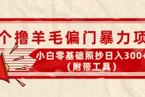 外面卖998的三个撸羊毛偏门暴力项目，小白零基础照抄日入300+ - 冒泡网-冒泡网