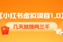 《小红书虚拟项目1.0》账号注册+养号+视频制作+引流+变现，几天就赚两三千 - 冒泡网-冒泡网