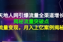 天地人网引爆流量全渠道增长：揭秘流量突然破点，流量变现，月入上亿案例 - 冒泡网-冒泡网