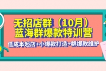 无招店群·蓝海群爆款特训营(10月新课) 低成本起店+小爆款打造+群爆款维护 - 冒泡网-冒泡网