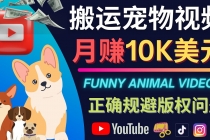 搬运TIKTOK视频到YouTube，并进行二次创作，月赚1万美元以上 - 冒泡网-冒泡网