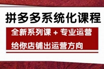 车神陪跑，拼多多系统化课程，全新系列课+专业运营给你店铺出运营方向 - 冒泡网-冒泡网