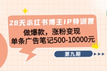 28天小红书博主IP特训营《第9期》做爆款，涨粉变现 单条广告笔记500-10000 - 冒泡网-冒泡网