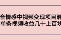 黄岛主副业孵化营第5期：抖音情感中视频变现项目孵化 单条视频收益几十上百 - 冒泡网-冒泡网