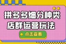 拼多多细分种类店群运营玩法3.0，11月最新玩法，小白也可以操作 - 冒泡网-冒泡网