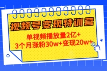 20天视频号变现特训营：单视频播放量2亿+3个月涨粉30w+变现20w+ - 冒泡网-冒泡网