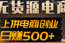 抖上拼无货源电商创业项目、外面收费12800，日赚500+的案例解析参考 - 冒泡网-冒泡网