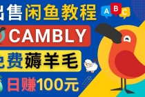 闲鱼赚钱小技巧，每单净赚10元，日赚100元 – 出售Cambly注册教程 - 冒泡网-冒泡网