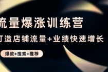 流量爆涨训练营：打造店铺流量+业绩快速增长 (爆款+搜索+推荐) - 冒泡网-冒泡网