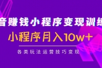 抖音赚钱小程序变现训练营：小程序月入10w+各类玩法运营技巧变现 - 冒泡网-冒泡网