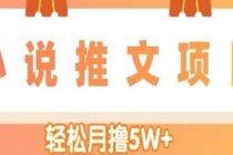 小说推文副业赚钱项目，另类进阶玩法，轻松月撸5W+ - 冒泡网-冒泡网