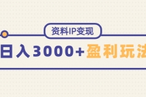 资料IP变现，能稳定日赚3000起的持续性盈利玩法 - 冒泡网-冒泡网