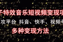 《粒子特效音乐短视频变现项目》主攻平台 抖音、快手、视频号 多种变现方法 - 冒泡网-冒泡网