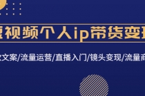 短视频个人ip带货变现：爆款文案/流量运营/直播入门/镜头变现/流量商业 - 冒泡网-冒泡网