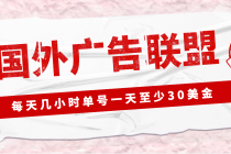 外面收费1980最新国外LEAD广告联盟搬砖项目，单号一天至少30美金(详细教程) - 冒泡网-冒泡网