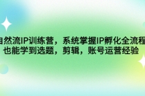 自然流IP训练营，系统掌握IP孵化全流程，也能学到选题，剪辑，账号运营经验 - 冒泡网-冒泡网