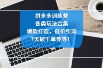 拼多多训练营：各玩法合集，爆款打造，低价引流，7天破千单等等！ - 冒泡网-冒泡网