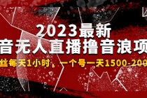 2023最新抖音无人直播撸音浪项目，0粉丝每天1小时，一个号一天1500-2000元 - 冒泡网-冒泡网