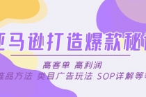 亚马逊打造爆款秘诀：高客单 高利润 推品方法 类目广告玩法 SOP详解等等 - 冒泡网-冒泡网