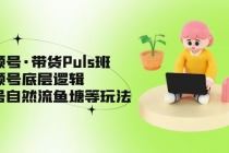 视频号·带货Puls班，视频号底层逻辑，起号自然流鱼塘等玩法 - 冒泡网-冒泡网