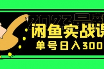 花599买的闲鱼项目：2023最新闲鱼实战课，单号日入300+ - 冒泡网-冒泡网